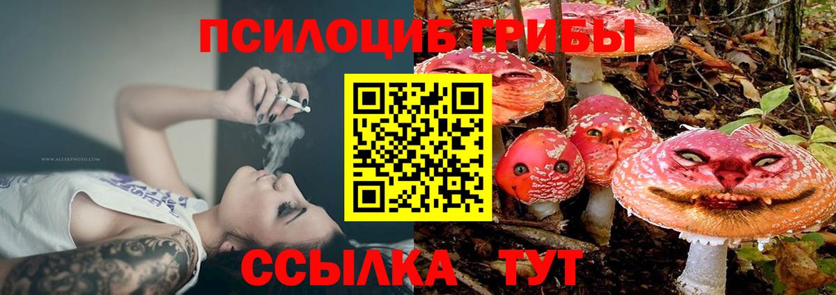 Псилоцибиновые грибы прущие грибы Ялуторовск