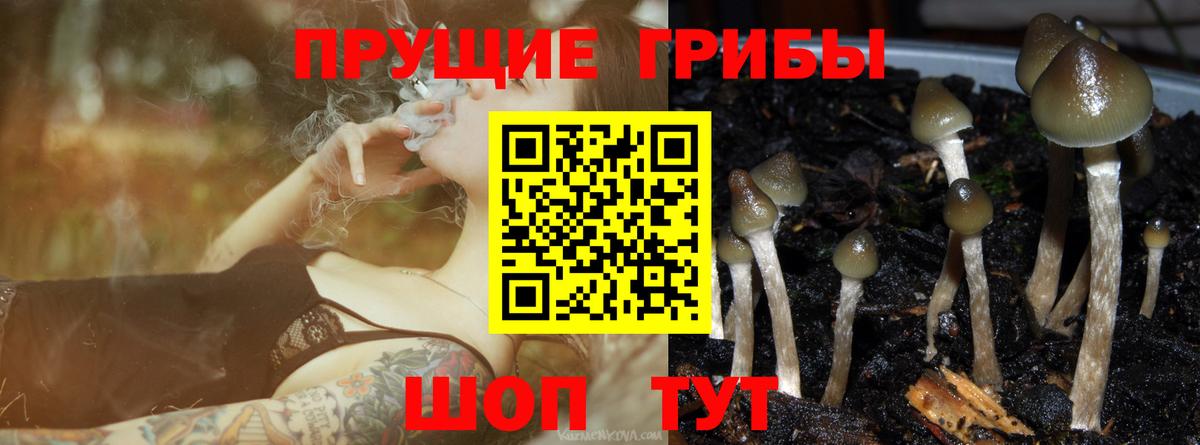 Галлюциногенные грибы GOLDEN TEACHER  купить наркотик  Вход с VPN  Ялуторовск  Псилоцибиновые грибы Magic Shrooms 